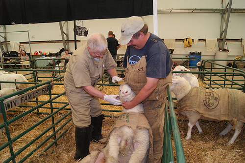 Dr. Ted Semple and Bruce on Vet Check classic2012