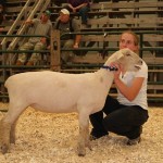 2011 Provincial Exhibition: Holly and Southdown