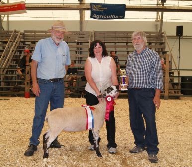 2011 Provincial Exhibition: Market lamb